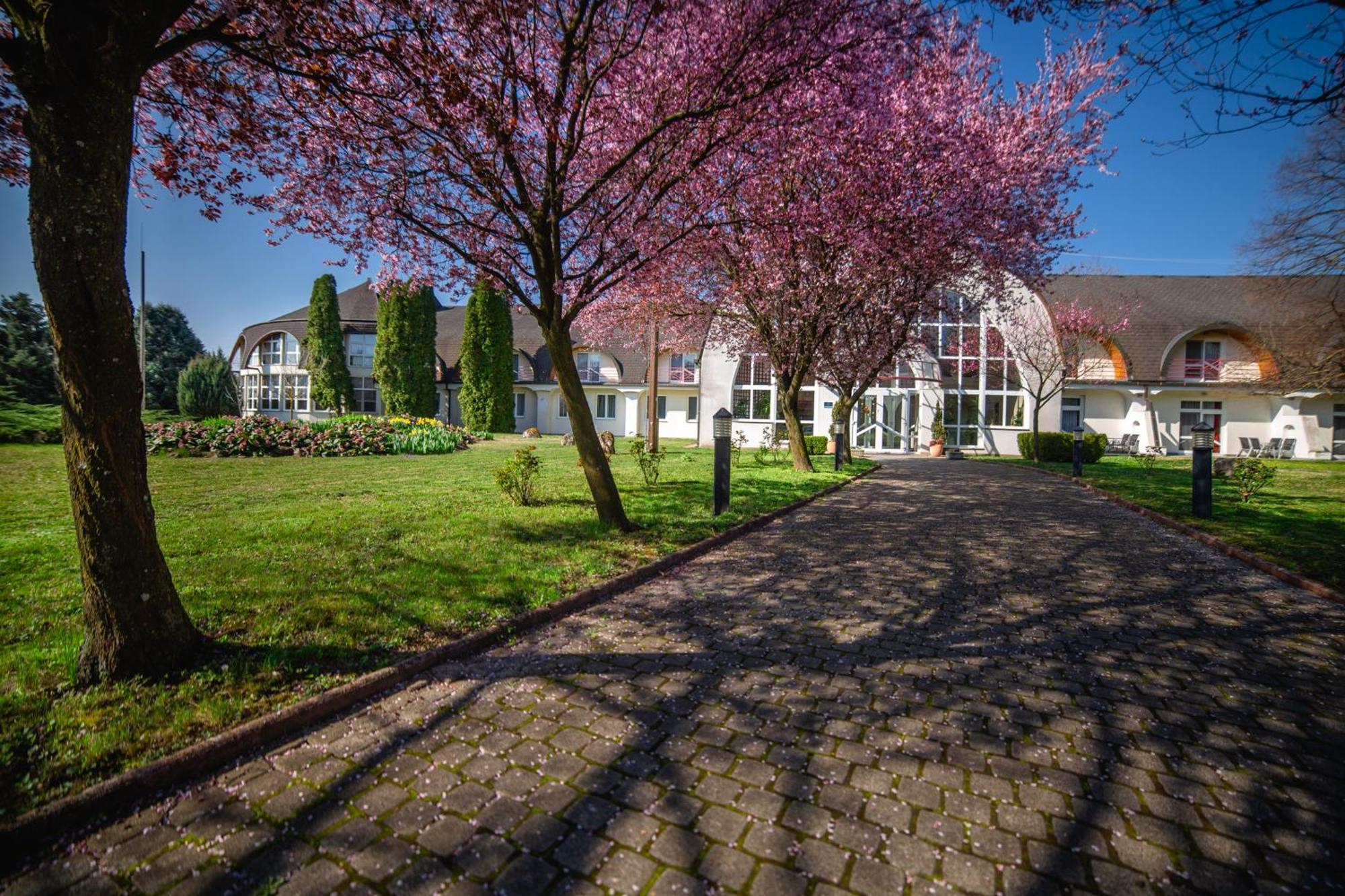Hotel Ovit Keszthely Bagian luar foto
